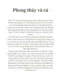 Phong thủy và cá