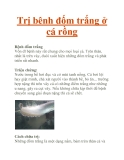 Trị bênh đốm trắng ở cá rồng