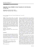 Báo cáo hóa học: " Quinoline Group Modiﬁed Carbon Nanotubes for the Detection of Zinc Ions"