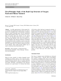 Báo cáo hóa học: "  First-Principles Study of the Band Gap Structure of OxygenPassivated Silicon Nanonets"