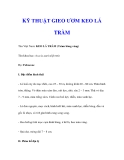 KỸ THUẬT GIEO ƯƠM KEO LÁ TRÀM