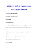 KỸ THUẬT TRỒNG VÀ CHĂM SÓC RỪNG BẠCH ĐÀN ĐỎ