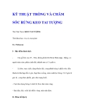 KỸ THUẬT TRỒNG VÀ CHĂM SÓC RỪNG KEO TAI TƯỢNGTên Việt Nam: KEO TAI TƯỢNG Tên