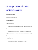 KỸ THUẬT TRỒNG VÀ CHĂM SÓC RỪNG SAO ĐEN
