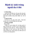 Bệnh ký sinh trùng ngoài da ở thỏ