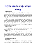 Bệnh sán lá ruột ở lợn rừng