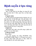 Bệnh suyễn ở lợn rừng