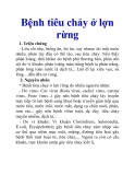 Bệnh tiêu chảy ở lợn rừng