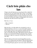 Cách bón phân cho lan