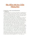 Đặc điểm sinh học Chồn Nhung Đen