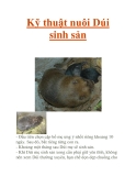 Kỹ thuật nuôi Dúi sinh sản