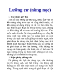 Lưỡng cư (nòng nọc)