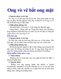 Ong vò vẽ bắt ong mật