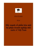 Đề án: Đẩy mạnh cổ phần hóa một bộ phận doanh nghiệp nhà nước ở Việt Nam