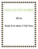 Đề tài: Kinh tế tư nhân ở Việt Nam