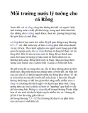 Môi trường nước lý tưởng cho cá Rồng