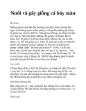 Nuôi và gây giống cá bảy màu