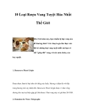 10 Loại Rượu Vang Tuyệt Hảo Nhất Trên Thế Giới