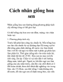 Cách nhân giống hoa sen