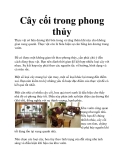 Cây cối trong phong thủy