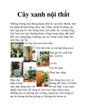 Cây xanh nội thất