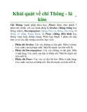 Khái quát về chi Thông - lá kim