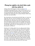 Phong lan nghiên cứu dưới khía cạnh sinh học phân tử