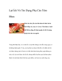 Lợi Ích Và Tác Dụng Phụ Của Tôm Hùm