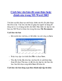 Cách lưu văn bản đã soạn thảo hoặc chỉnh sửa trong MS Word 2003