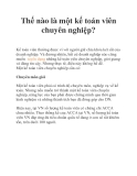 Thế nào là một kế toán viên chuyên nghiệp?