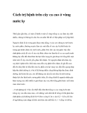 Cách trị bệnh trên cây ca cao ở vùng nước lợ