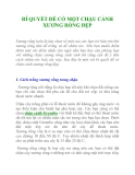 BÍ QUYẾT ĐỂ CÓ MỘT CHẬU CẢNH XƯƠNG RỒNG ĐẸP