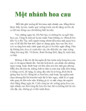 Một nhánh hoa cau