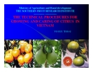 Báo cáo nghiên cứu khoa học " THE TECHNICAL PROCEDURES FOR GROWING AND CARING OF CITRUS IN VIETNAM "