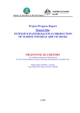 Báo cáo nghiên cứu khoa học " INTENSIVE IN-POND RACEWAY PRODUCTION OF MARINE FINFISH (CARD VIE 062/04) - MILESTONE 2& 4 REPORT "