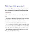 Cách chọn và bảo quản cà rốt