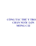 Báo cáo nghiên cứu nông nghiệp " Công tác thú y trong chăn nuôi lợn móng cái "