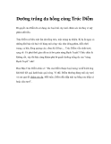 Dưỡng trắng da hồng cùng Trúc Diễm