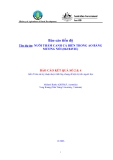 Báo cáo nghiên cứu nông nghiệp " NUÔI THÂM CANH CÁ BIỂN TRONG AO BẰNG MƯƠNG NỔI - BÁO CÁO 2&4 "