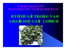 Báo cáo nghiên cứu nông nghiệp " KỸ THUẬT TRỒNG VÀ CHĂM SÓC CÂY CÓ MÚI "