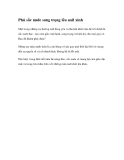 Phủ sắc nude sang trọng lên nail xinh