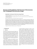 Báo cáo hóa học: "Recovery and Visualization of 3D Structure of Chromosomes from Tomographic Reconstruction Images"