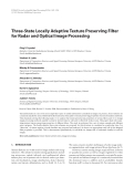 Báo cáo hóa học: "  Three-State Locally Adaptive Texture Preserving Filter for Radar and Optical Image Processing"