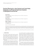 Báo cáo hóa học: " Particle Filtering for Joint Symbol and Code Delay Estimation in DS Spread Spectrum Systems in Multipath "