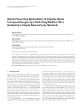 Báo cáo hóa học: "  Detail-Preserving Restoration of Impulse Noise Corrupted Images by a Switching Median Filter Guided by a Simple Neuro-Fuzzy Network"