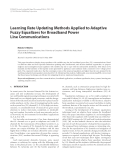 Báo cáo hóa học: "  Learning Rate Updating Methods Applied to Adaptive Fuzzy Equalizers for Broadband Power Line "