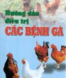 Điều trị các bệnh ở gà