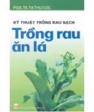 Kỹ thuật trồng rau sạch: Trồng rau ăn lá - PGS.TS Tạ Thu Cúc