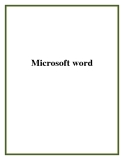 Microsoft word 2003 2007 2010