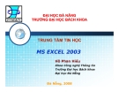 MS Excel 2003